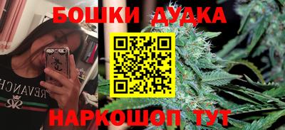 Альфа ПВП Аргун