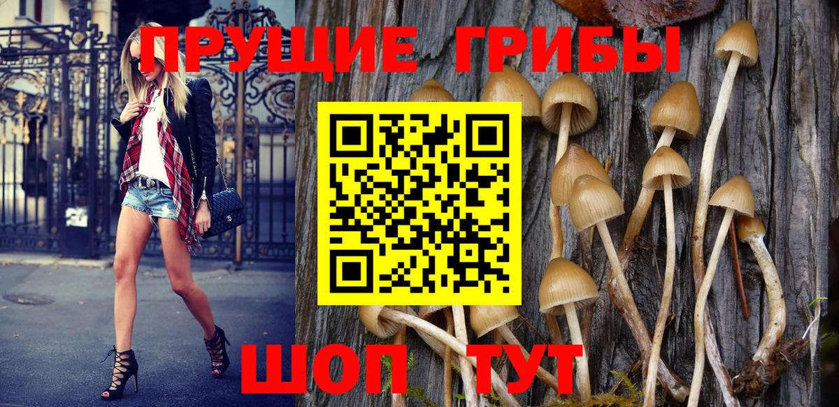 Балабаново  Псилоцибиновые грибы GOLDEN TEACHER  Вход с VPN  Галлюциногенные грибы Magic Shrooms 